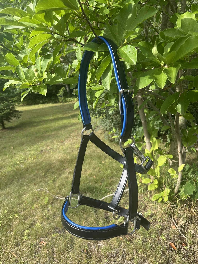 Licou granite padding en cuir Turquoise