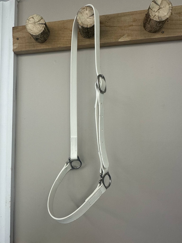 Licou de présentation blanc pour adulte