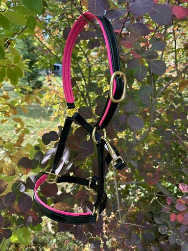 Licou granite padding biothane Rose