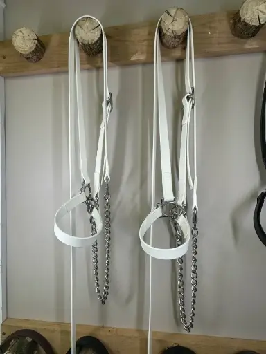 Licou et laisse de présentation (ensemble)